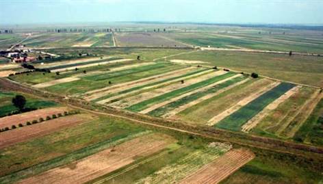 Prețurile terenurilor agricole au crescut la Iași cu 20%. Media per hectar: 7.000 de euro. De ce depinde valoarea pământului?