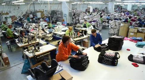 Fosta Te-Rox, în insolvență