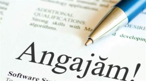 Ce locuri de muncă sunt disponibile în această perioadă în Pașcani