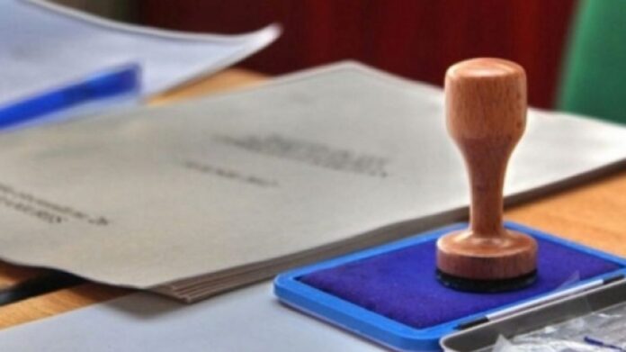 alegeri vot stampila