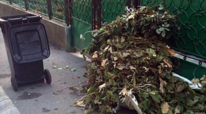 Colectarea deșeurilor vegetale ar urma să fie taxată. Până atunci, duceți-le singuri la sere