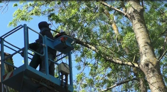 Lucrari anuntate pe strada Gradinitei. Nu aveti voie sa parcati masinile