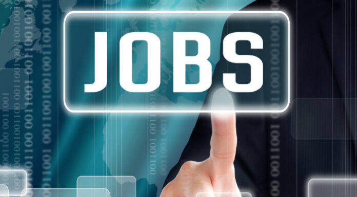 Primul job, tot mai greu de găsit pentru Generația Z. Posturile pentru începători au scăzut cu aproape 30%