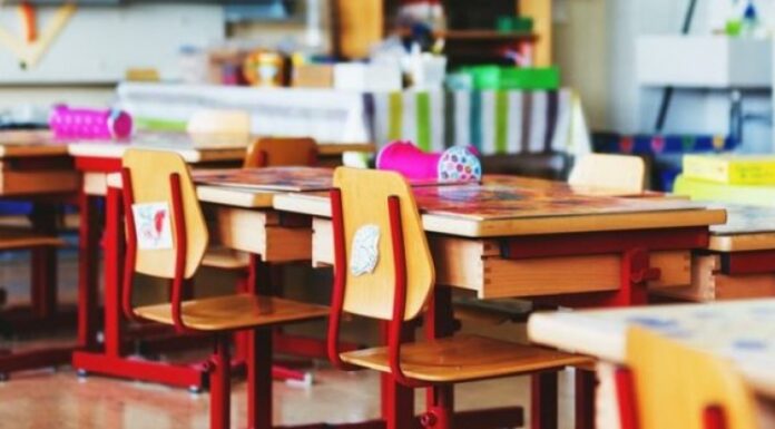 Programul de vară al grădinițelor și al creșei, din Pașcani