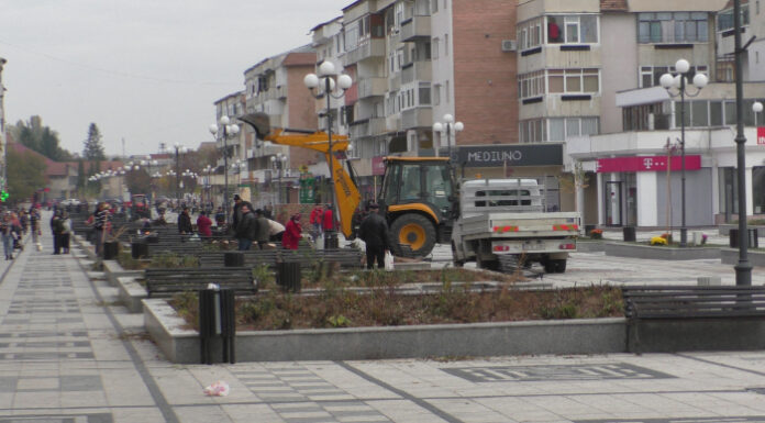 Tăierea ilegală de arbori din spaţiile verzi urbane se va pedepsi cu închisoarea