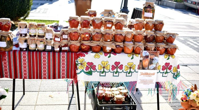 Târgul comunelor din zona Pașcani în luna septembrie