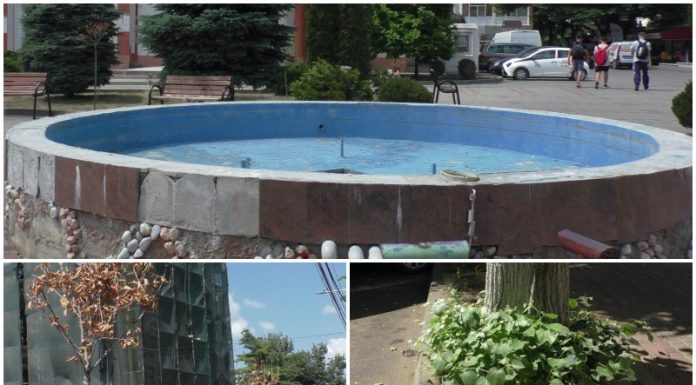 Imagini dezolante la Pascani: Fantani arteziene fara apa, copaci uscati si multa mizerie – VIDEO