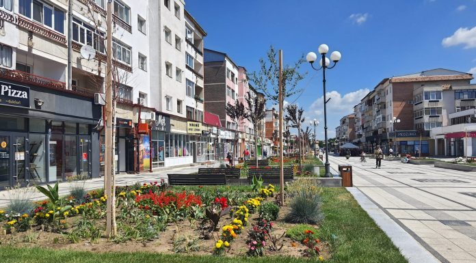 Canicula pe Esplanada. Mestecenii plantati in locul arborilor Tuia s-au uscat