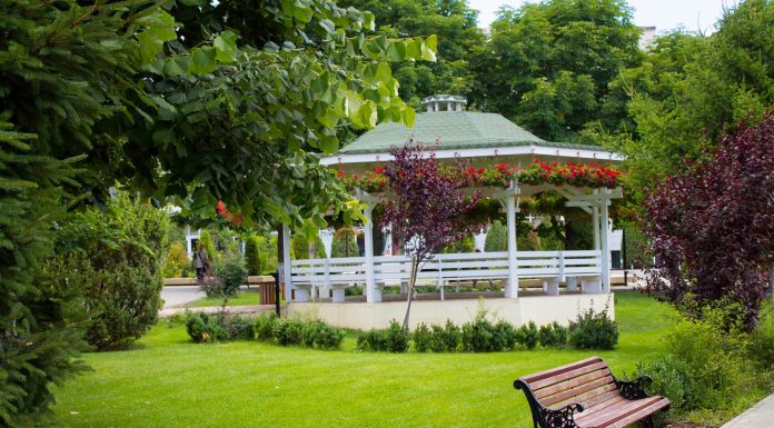 Regulament pentru protejarea spațiilor verzi, la Târgu Frumos