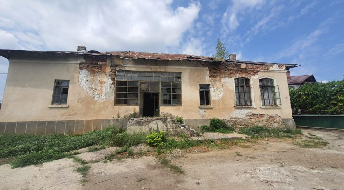 Școală cu copaci în mijlocul sălilor de clasă. Un consilier a propus să fie transformată în muzeu – FOTO