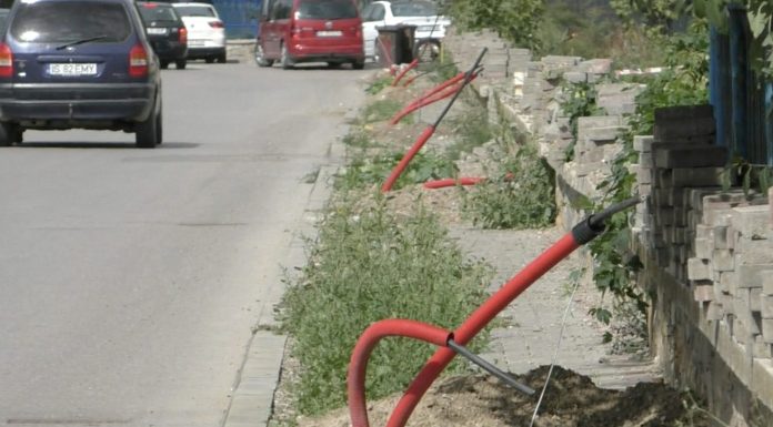 Trotuar distrus si plin de buruieni. Aveti rabdare…!