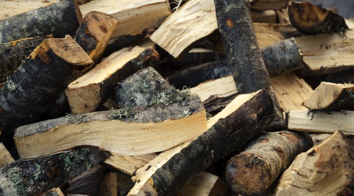 Sfat pentru cetățenii de la Gâștești: cumpărați-vă lemne!