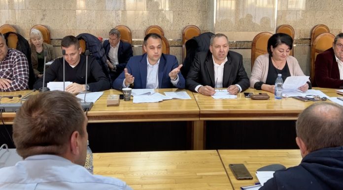 Comisie speciala pentru activitatea din Piata Vale