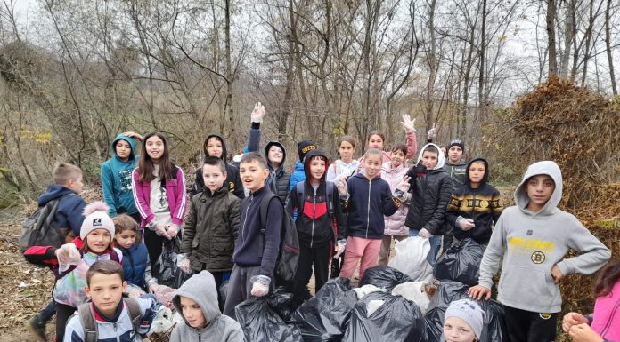 Actiune de ecologizare, cu sute de elevi
