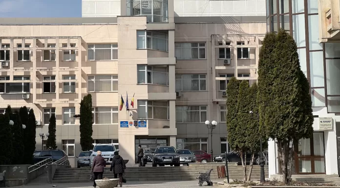 Program special de sărbători pentru instituțiile publice și magazine