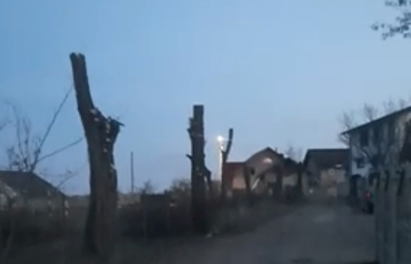 O noua sancțiune pentru taierea ilegala a copacilor, la Pascani