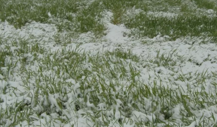 Captură de ecran din 2023-04-07 la 09.21.13