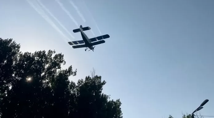 Planul de dezinsecție și deratizare, din municipiul Pașcani și suburbii, în dezbatere publică – DOC