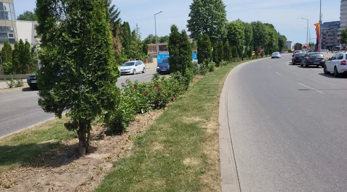 Cheltuieli mari pentru udatul gazonului si a florilor