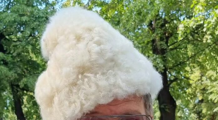 La ce se pricepe viceprimarul Rățoi