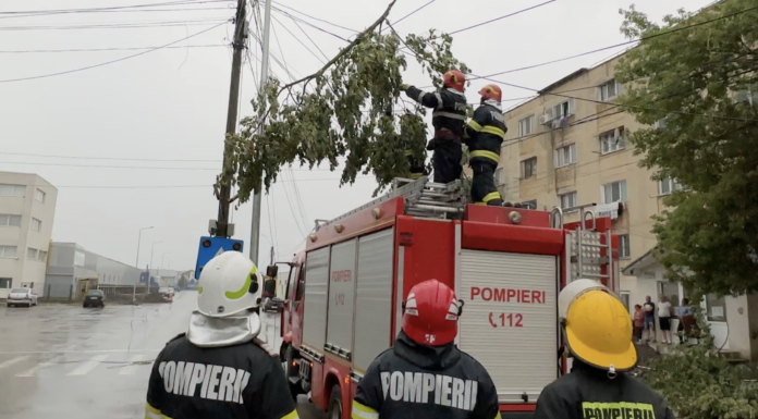 Alarma din cauza unor crengi rupte de vânt