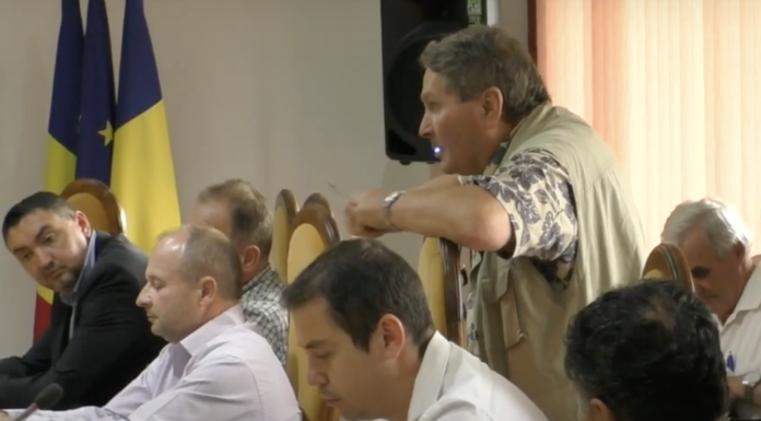 Ne mănâncă câinii pe străzi! Primăria Pașcani nu are padoc, serviciu specializat si nici voință