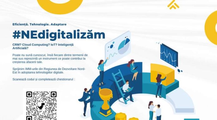 Finanțări pentru digitalizarea micilor afaceri