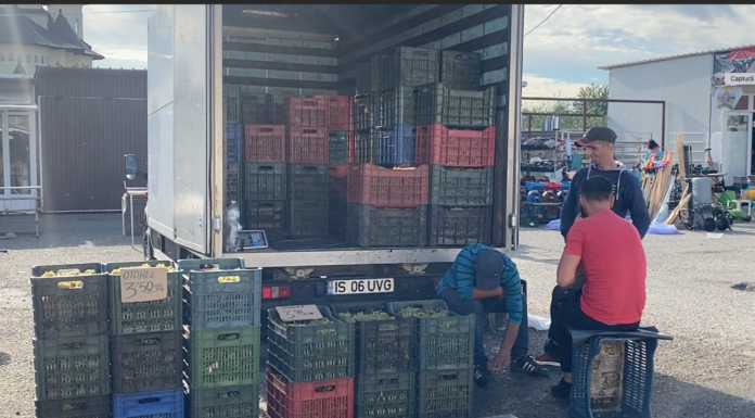 Primarul a interzis comercializarea strugurilor in Piata Deal