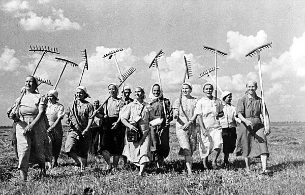 Anunț important pentru posesorii de terenuri care nu au fost date CAP-urilor