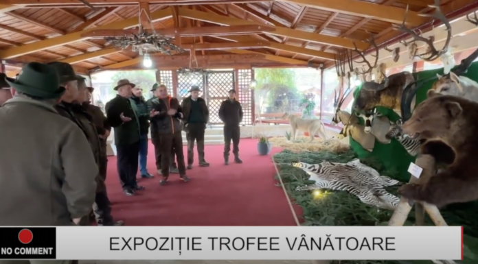 Expoziție cu trofee de vânătoare, la cabana din pădurea Moțca – VIDEO