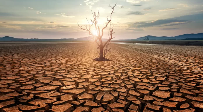 Octombrie bate toate recordurile de căldură și duce 2023 în topul celor mai fierbinți ani din ultimii 125.000 de ani