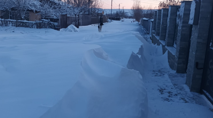 Pantazi, critici la adresa primarului Pintilie: Deszăpezirea nu se face pe TIK-TOK. O parte din utilaje stau în garaj