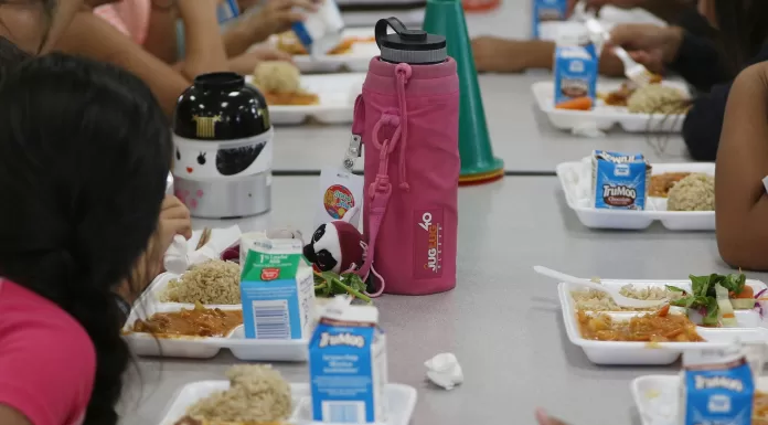 Lista școlilor din programul „Masă Sănătoasă”. Unități de învățământ din zona orașelor Pașcani, Târgu Frumos și Hârlău – DOC