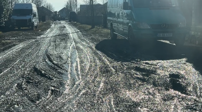 Glodul de pe străzi, o problemă grea pentru administrația locală – FOTO