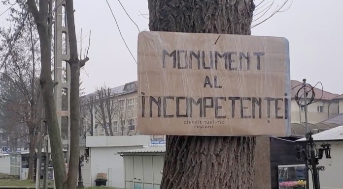 Nemulțumiri după toaletarea severă a unor copaci