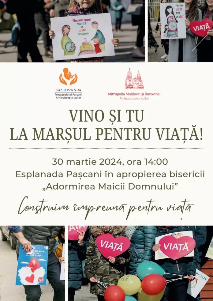 WhatsApp Image 2024-03-26 at 13.35.17 (1)