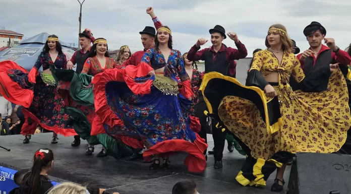 Ziua Internațională a Romilor, sărbătorită la Hârlău – FOTO/VIDEO