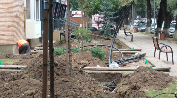 Sistem de irigare a spațiilor verzi în centrul Pașcaniului. Instalația va fi conectată la rețeaua publică de apă