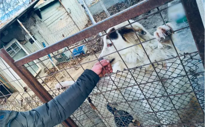 WhatsApp Image 2024-11-05 at 10.45.06