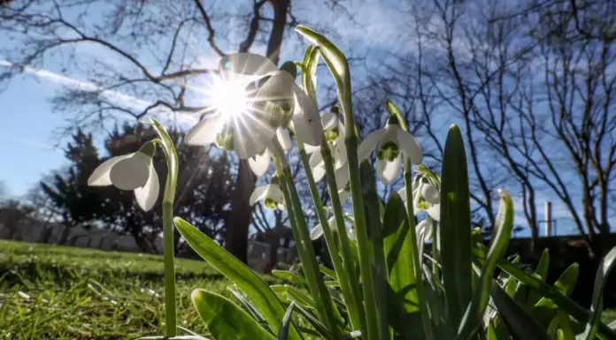 ANM a actualizat prognoza meteo pentru următoarele patru săptămâni. Vremea în România până pe 31 martie