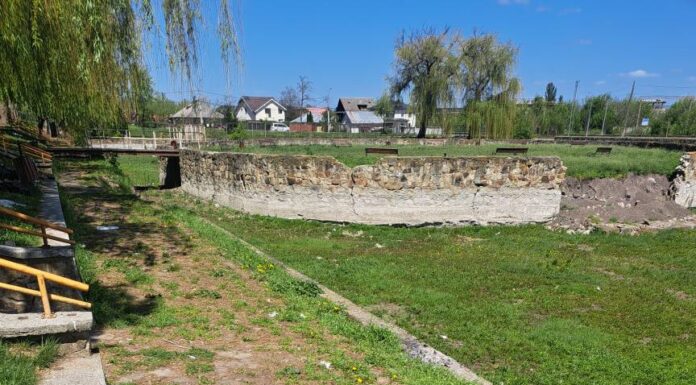 Lacul Peștisorul, groapă de gunoi