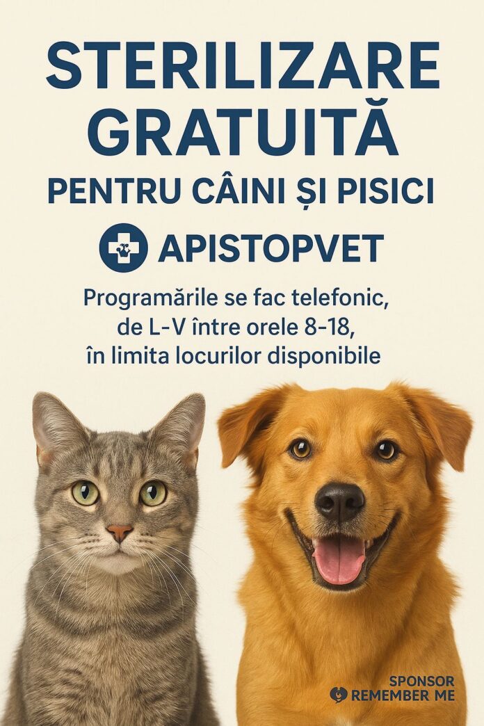 565643060_1406122718180969_1142030310745023386_n (1)