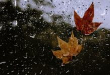 Cum va fi vremea până la începutul lunii decembrie. Prognoza meteo pentru următoarele patru săptămâni