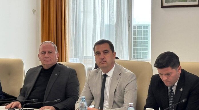 Deputatul Sorin Năcuță despre Strategia Națională de Apărare a Țării