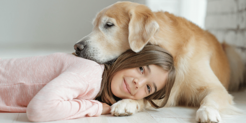 O nouă materie opțională se introduce în școlile din România din anul școlar următor, la clasele a V-a și a VI-a