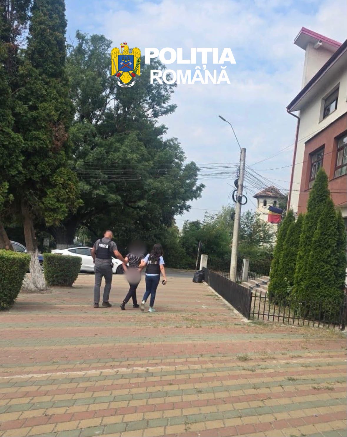 Femeie în vârstă de 44 de ani sub control judiciar după ce a intrat intenționat cu mașina într-o turmă de oi, la Deleni